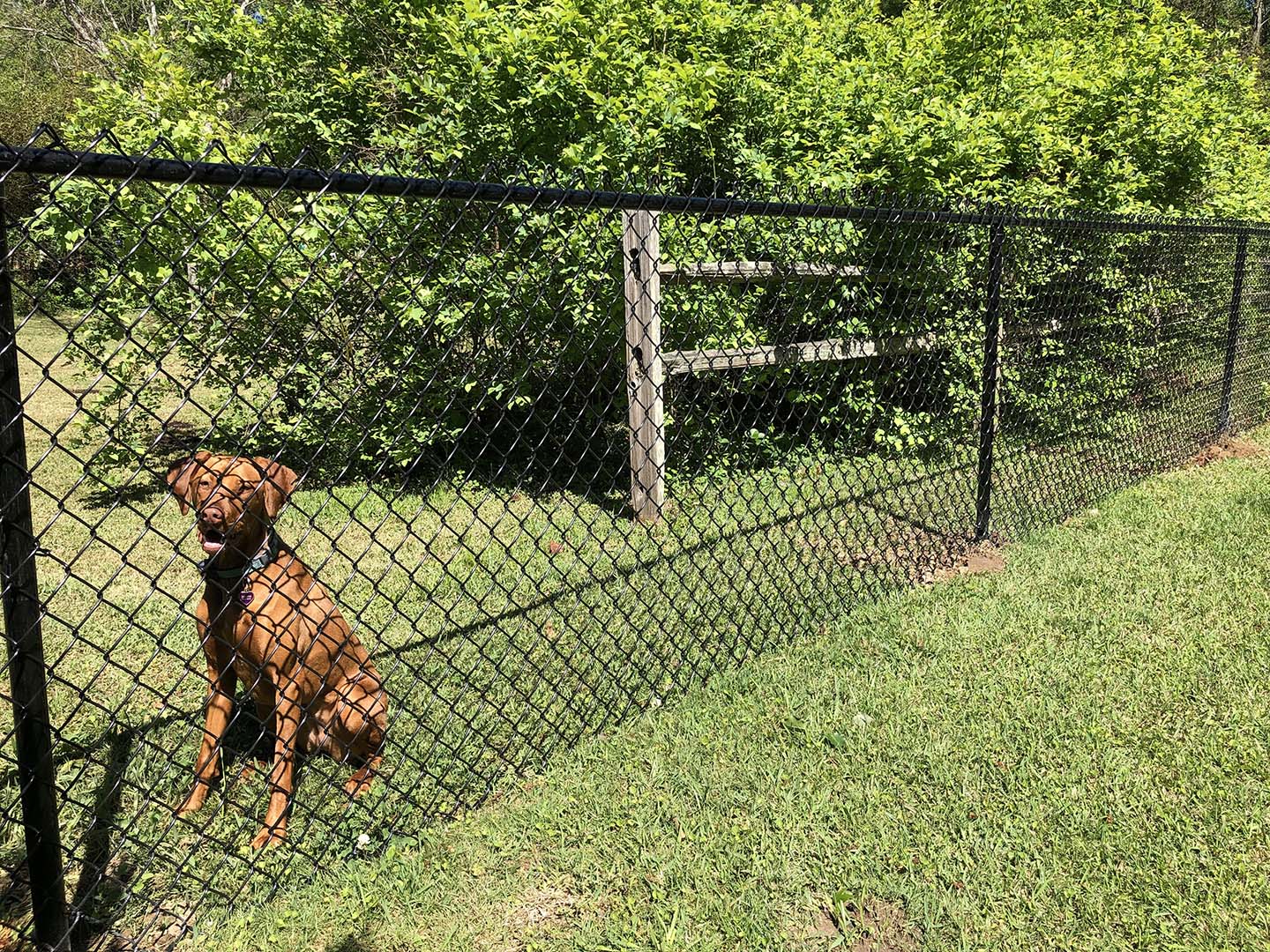 chain link fence Rainbow City Alabama