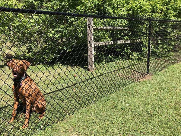 Chain link fencing in Birmingham Alabama